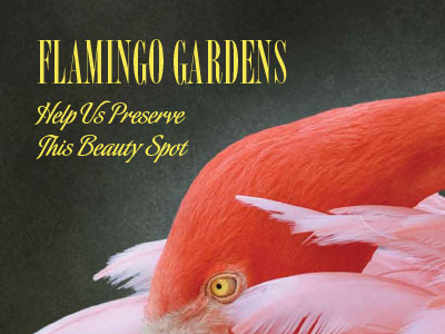 Flamingo-Gardens-Case-for-Support-Thumb