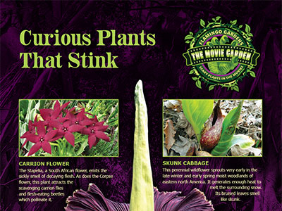 Gallery-Poster-Plants-That-Stink-thumb